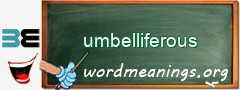 WordMeaning blackboard for umbelliferous